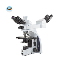 Kính hiển vi đối mặt kép hai/ba mắt Iscope Euromex IS.1154-PLi/T (EWF 10x/20 mm, 4/10/S40/S100x)